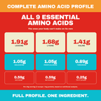 Complete amino acid profile chart for LIFTER Crispies protein puffs