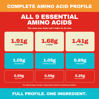 Complete amino acid profile chart for LIFTER Crispies protein puffs